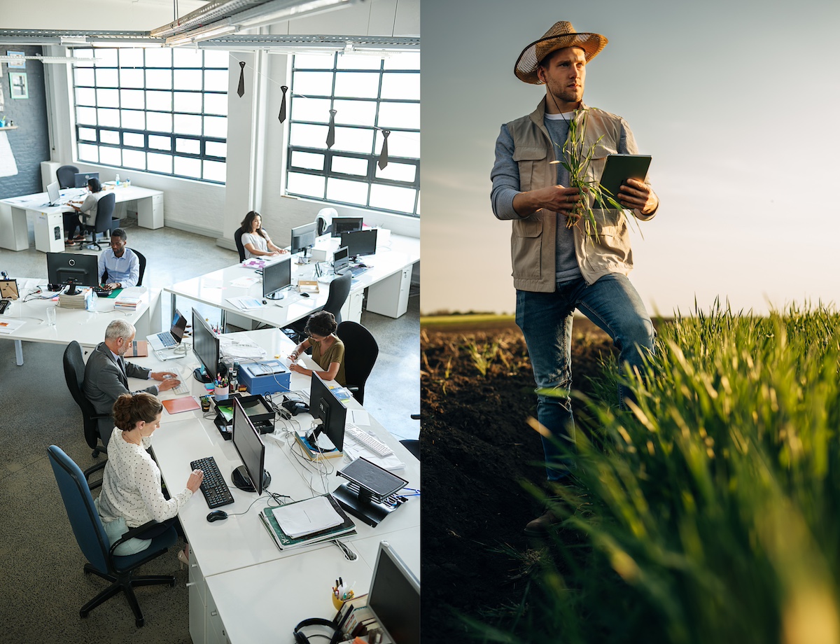 Split image — on one side people work at computer desks; on the other side, a farmer checks the quality of his grain in a field